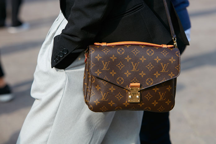 Best Louis Vuitton Bag For Everyday Use